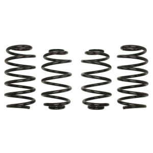 Mola de suspensão Pro-Kit EIBACH E10-78-003-05-22