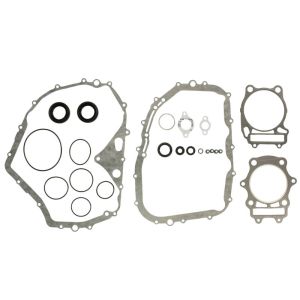 Kit de juntas do motor WINDEROSA W811846