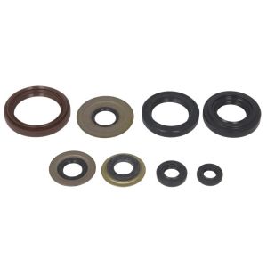 Kit de juntas do motor WINDEROSA W822218