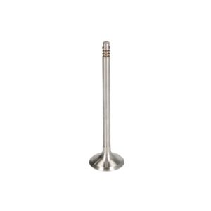 Auslassventil FRECCIA R6949/BM