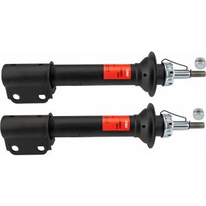 Amortecedor TRW JGM289T
