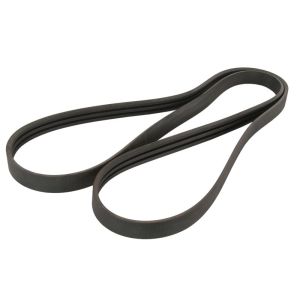 Correa poly V OPTIBELT 1003348AP