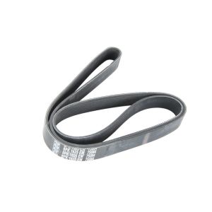 Poly V-riem DT 7.54808