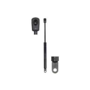 Gasfeder, Koffer-/Laderaum STABILUS STA641200