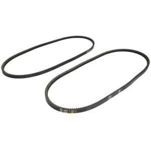 Correa poly V GATES 0372231-GAT