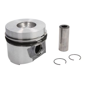 Pistão KOLBENSCHMIDT 40773610