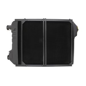 Radiador, arrefecimento do motor THERMOTEC D7AG134TT