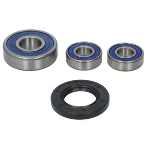 Kit de roulements de roue ALL BALLS AB25-1455