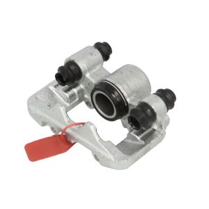 Jarrusatula LAUBER 77.3314