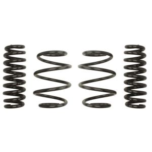 Kit de suspensão, molas EIBACH Pro-Kit E10-20-045-02-22