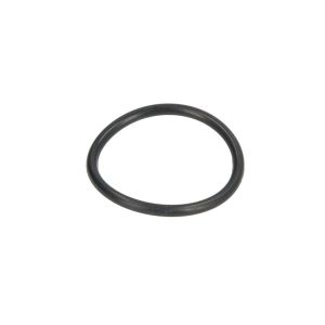 Dichtring DT Spare Parts 6.33084