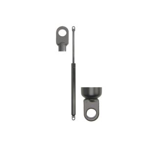 Gasfeder, Koffer-/Laderaum STABILUS STA507405