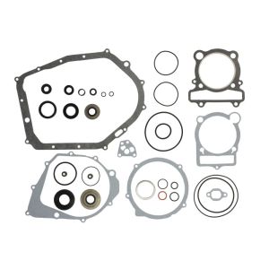Kit de juntas do motor WINDEROSA W811813