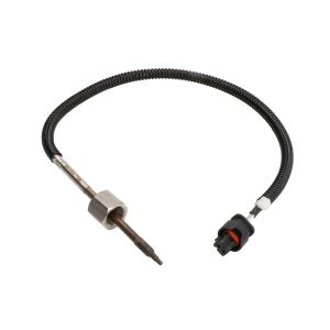 Abgastemperatursensor DELPHI TS30228