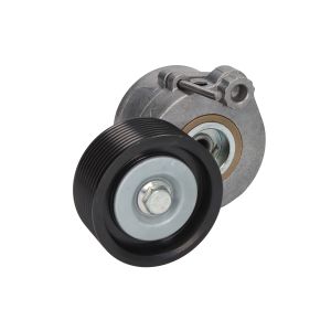 Riemspanner, Poly V-riem CZM 111563