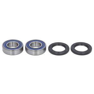 Radlagersatz ALL BALLS AB25-1511
