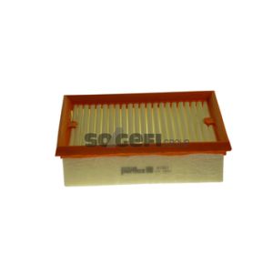 Luftfilter PURFLUX A1581