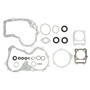 Kit de juntas do motor WINDEROSA W811832