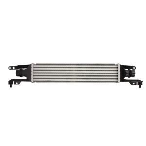 Intercooler THERMOTEC DAX028TT