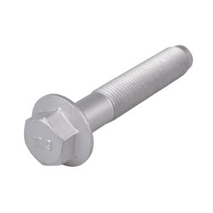 Tornillo, brazo de control TEDGUM TED31153