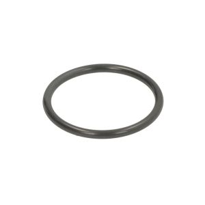 Dichtung, Schaltgetriebe ZF 0501322975ZF