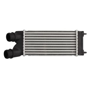 Intercooler THERMOTEC DAC015TT