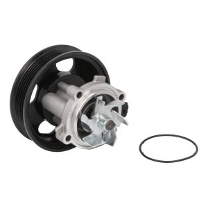 Wasserpumpe HEPU P3003M