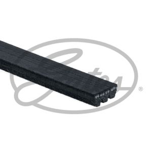 DAYCO 4PK812 Cinghia Poly-V conveniente