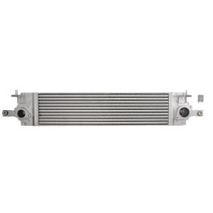 Intercooler THERMOTEC DA1010TT