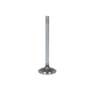 Válvula de admisión FP DIESEL R84618-FP