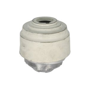 Suporte do motor REINHOCH RH11-3171