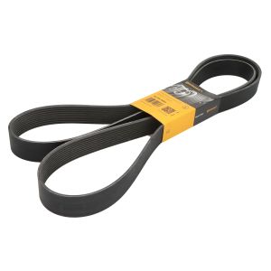 Correa poly V CONTINENTAL 10 PK 2293