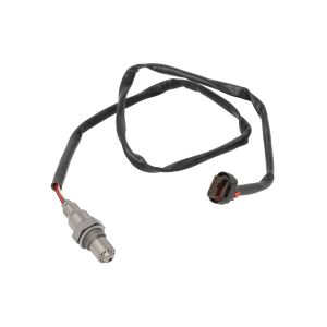 Sonde lambda HERTH+BUSS ELPARTS 70685303
