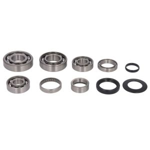 Kit de reparação HOT RODS TBK0117