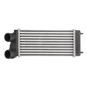 Intercooler THERMOTEC DAC004TT