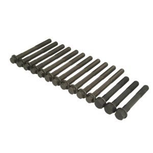 Kit de parafusos, cabeça do cilindro REINZ 14-32284-03
