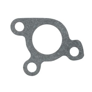 Junta, bomba de água FP DIESEL R100569-FP