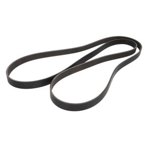 Correa poly V GATES 0385359-GAT