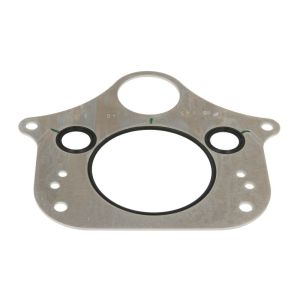 Dichtung, Ladeluftkühler ELRING 574.821
