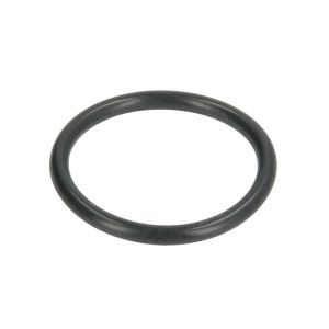 O-ring, cambio ZF 0634304287ZF