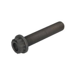Parafuso da biela BF 20060347109