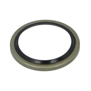 Dichtring, Achsschenkel BTA B06-2224