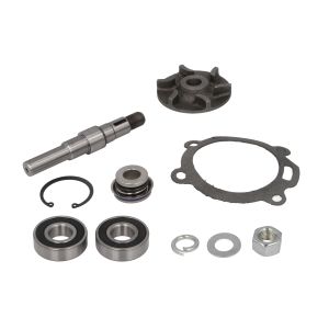 Kit de reparação, bomba de água THERMOTEC WP-MF119