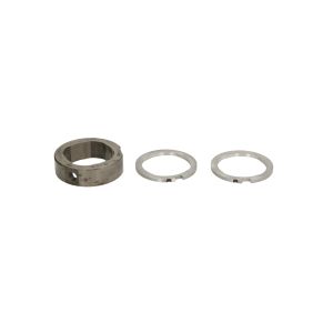 Componente, bomba de distribuição DELPHI 7189-100BL-12B1