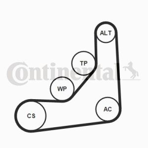 Set di cinghie Poly-V CONTITECH 6PK1165K1