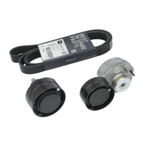 Cinto com várias nervuras (6PK1019)  PETERS 100.220-00