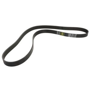 Correa poly V GATES 0785288-GAT