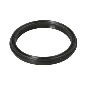 Dichtring, Thermostat ELRING 586.430