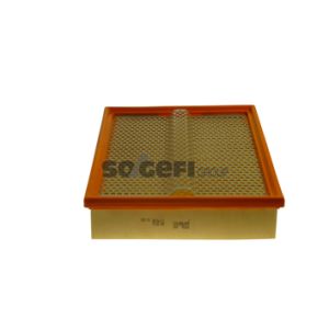Luchtfilter PURFLUX A1454