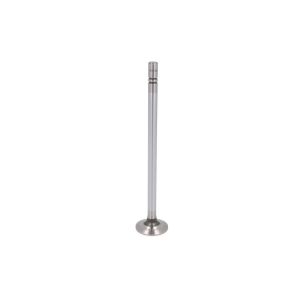 Einlassventil IPD PARTS 1632442-IPD